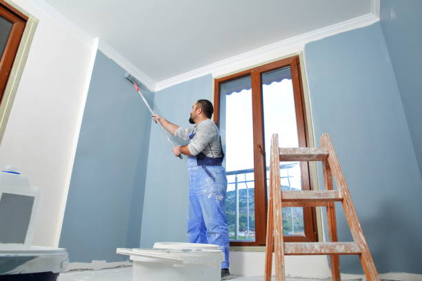 Best Black Mold Removal  in Brookhaven, WV