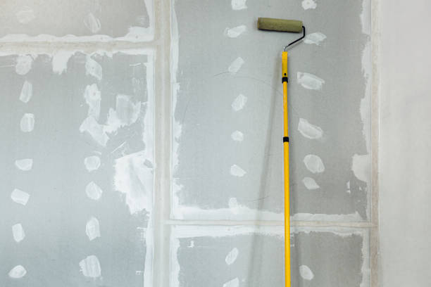 Best Asbestos and Lead Testing During Mold Inspection  in Brookhaven, WV