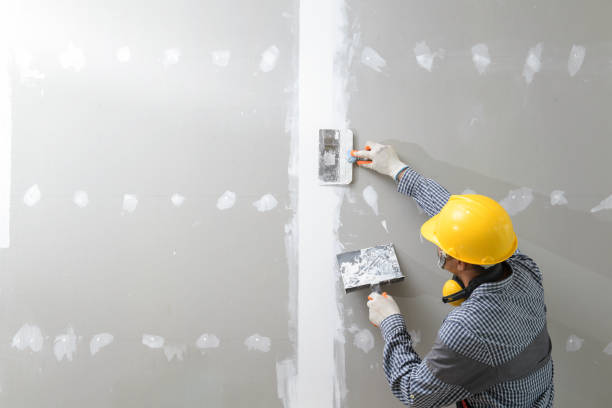 Best Mold Prevention Services  in Brookhaven, WV