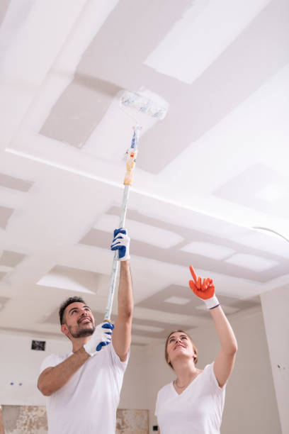 Best Basement Mold Removal  in Brookhaven, WV