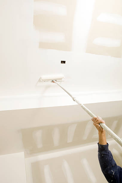 Best Mold Removal for HVAC Installations  in Brookhaven, WV